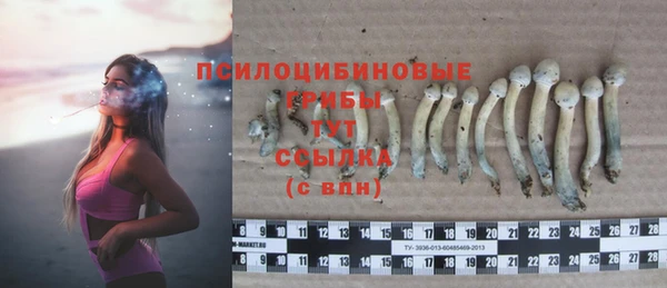 mdma Осинники