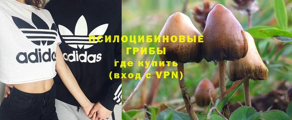 гидра Новосибирск
